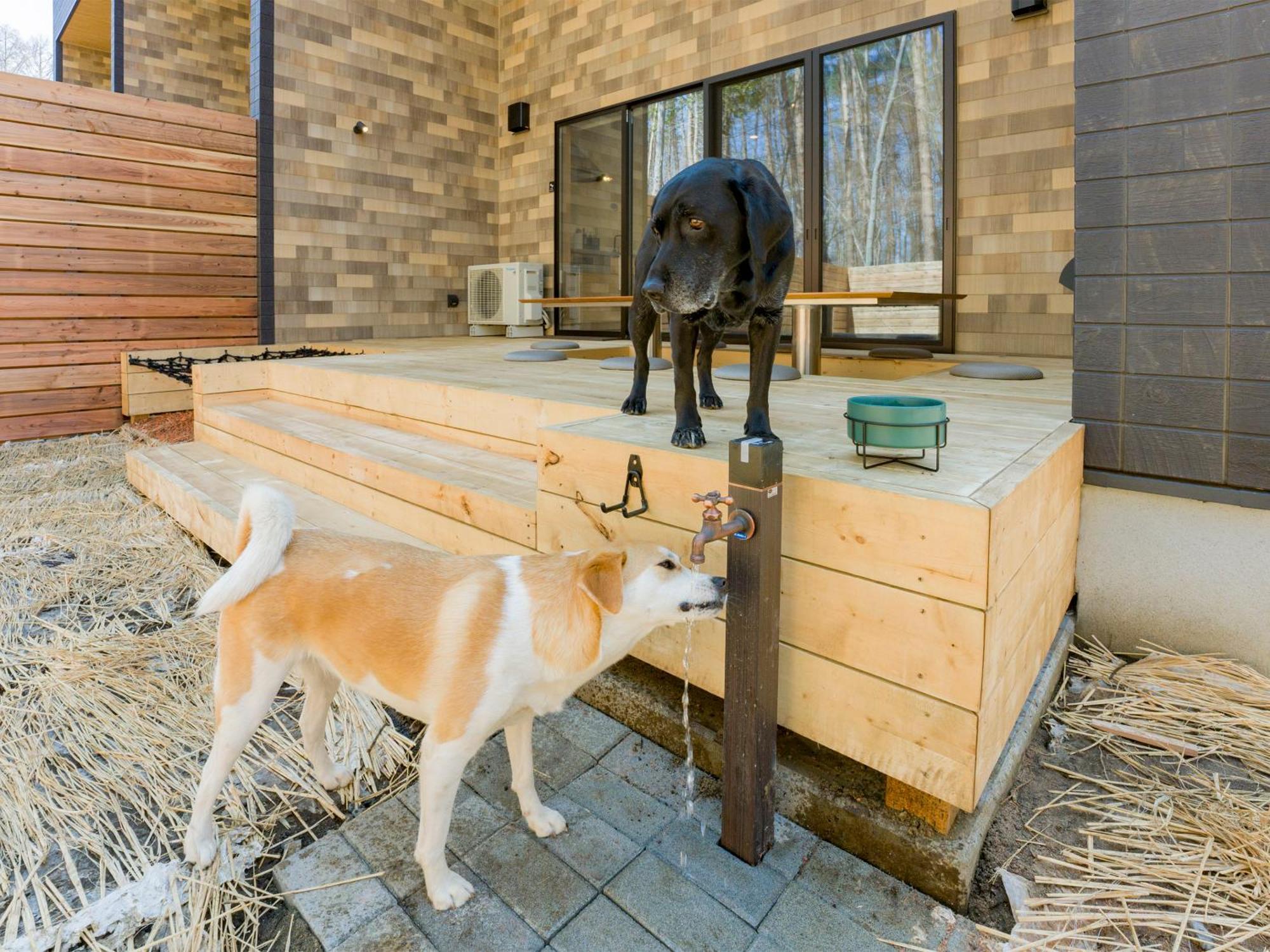 Rakuten Stay Villa Fujikawaguchiko Forest Exterior foto