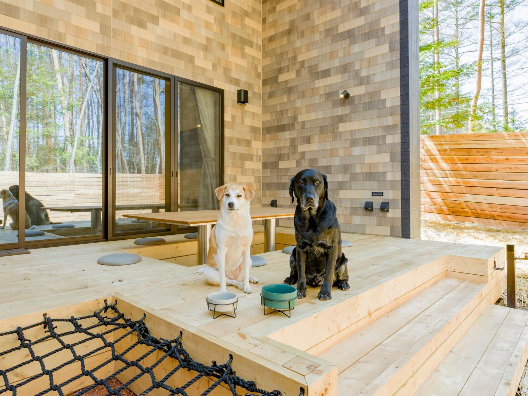 Rakuten Stay Villa Fujikawaguchiko Forest Exterior foto